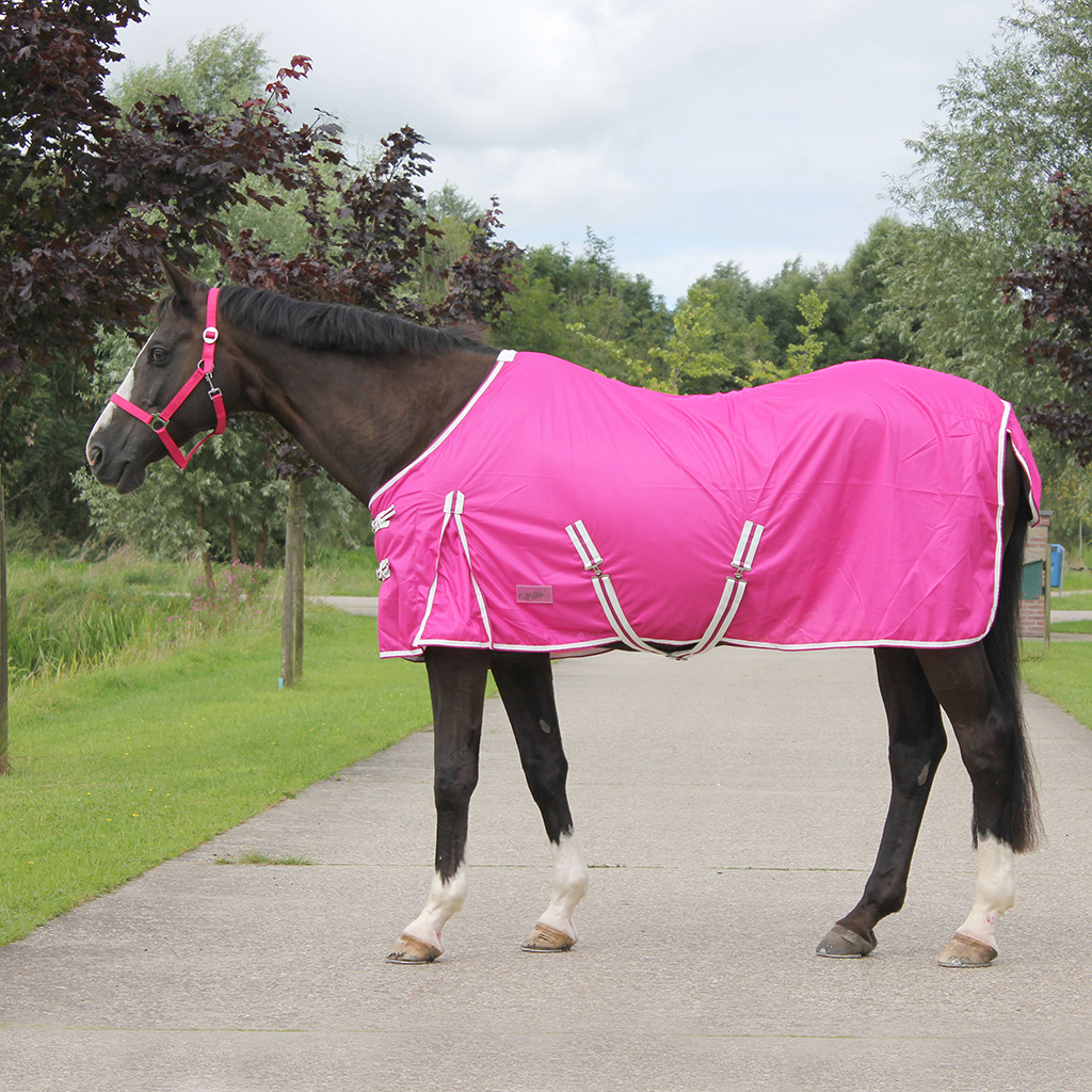 QHP Colour Fly Rug Elite Equestrian