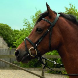 Windsor Equestrian Leather Bridle With Flash Noseband
