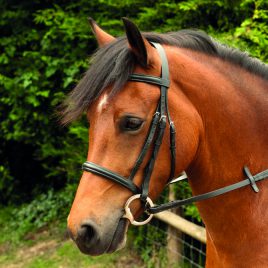 Windsor Equestrian Leather Bridle With Plain Cavesson Noseband