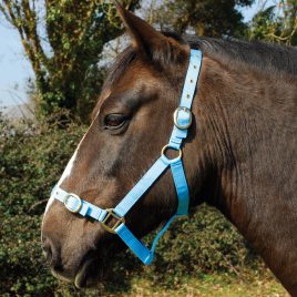 Rhinegold Nylon Headcollars