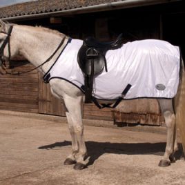 Rhinegold Ride-on Fly  Rug