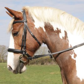 Heritage English Leather Comfort Bridle with Cavesson Noseband