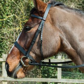 Windsor Leather Hunter Bridle