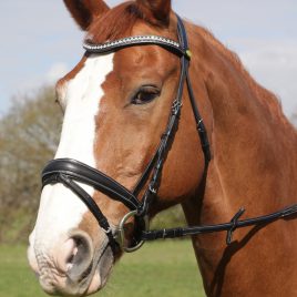 Rhinegold Leather Anatomical Bridle