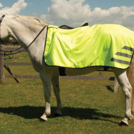 Rhinegold Waterproof 3/4 Ride-On Rug
