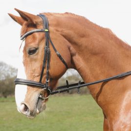 Rhinegold Italian Leather Anatomical Cavesson Bridle