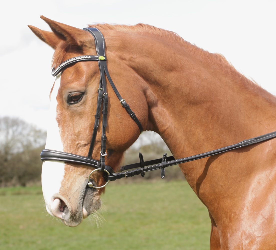 Windsor Leather Horse Pony Bridle with Cavesson Noseband inc Rubber Reins 