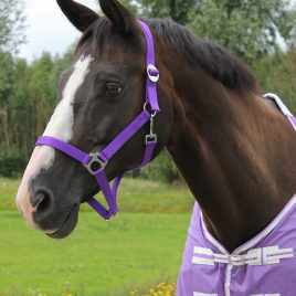 QHP Head Collar