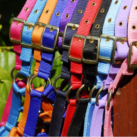 Foal Head Collar