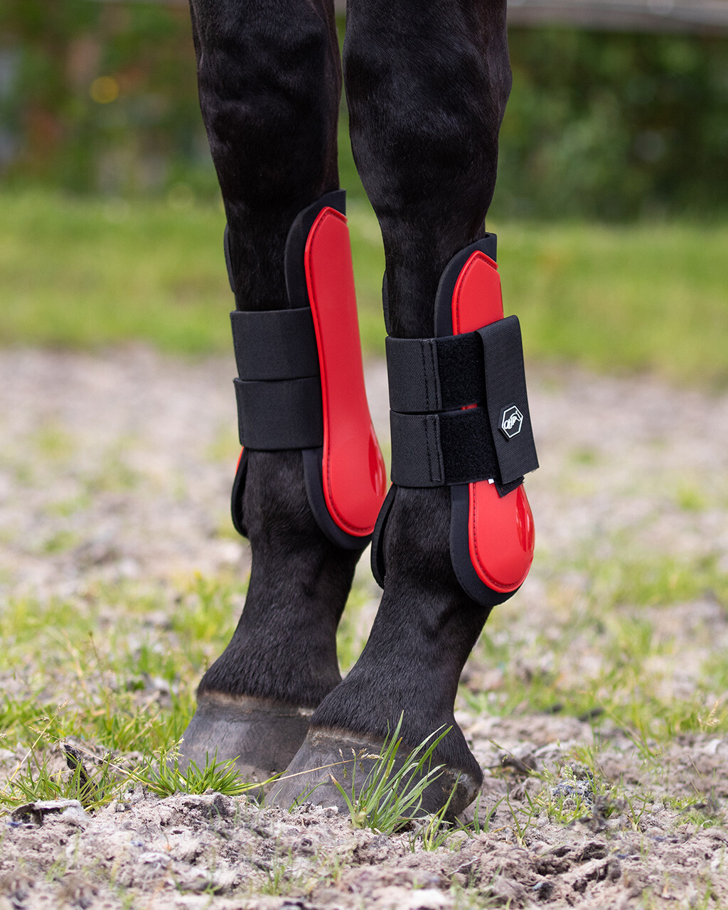Gaiter Set Luxury Qhp Tendon Boots and Fetlock Boots in Set 12 Colours 2 