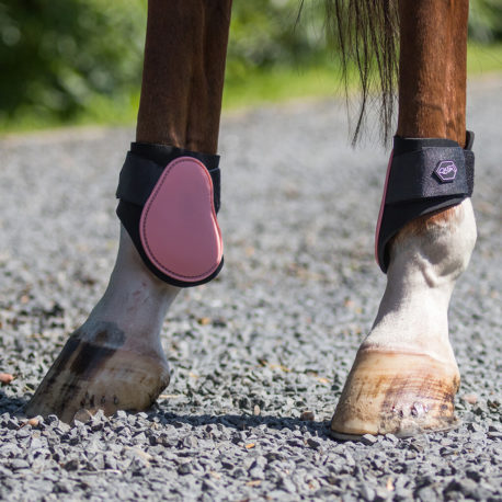 flamingo pink fetlock boots