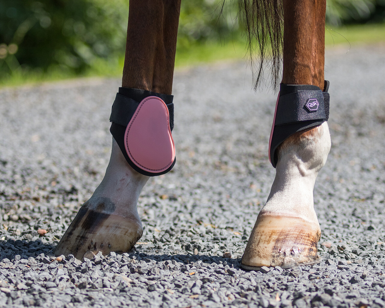 new Rhinegold leather tendon fetlock boots detachable sheepskin neoprene liner 