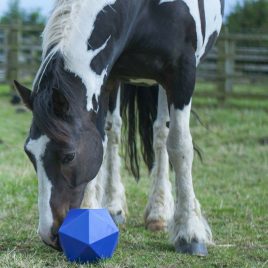 Gorilla Dripfeed Horse Toy