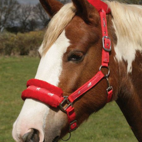 Red Padded head collar