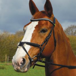 Rhinegold Italian Leather Anatomical Bridle With Mexican Noseband