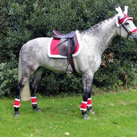 Christmas Saddle Pad