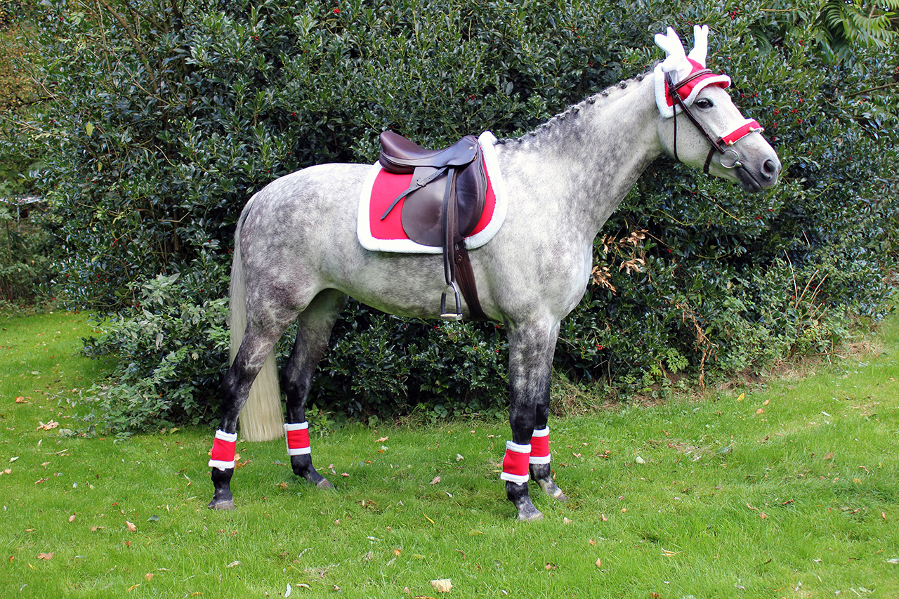 Reindeer Hat for Horses Elite Equestrian