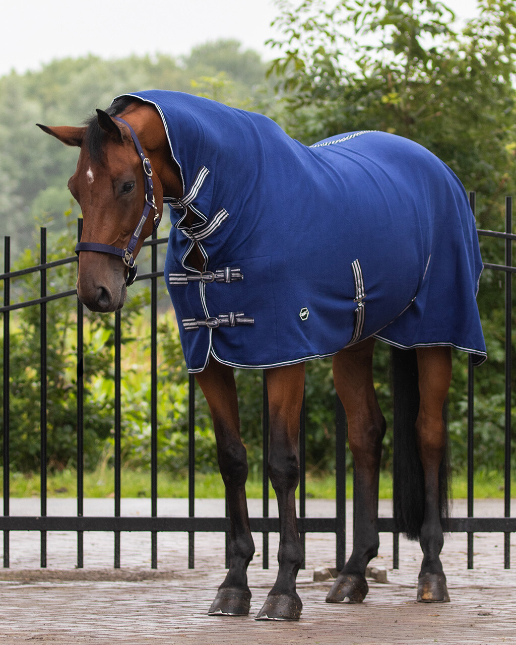 NEW QHP SHOW FLEECE RUG IN PETROL /SILVER CLEARNCE SIZE SMALL TO EXTRA LARGE 