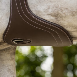 QHP Luxury Belly Guard/Stud Girth