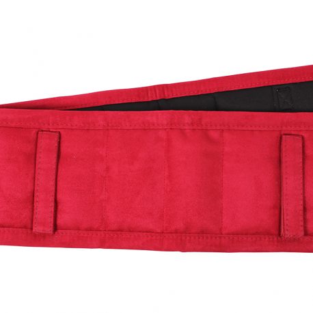 Red Lunging Pad