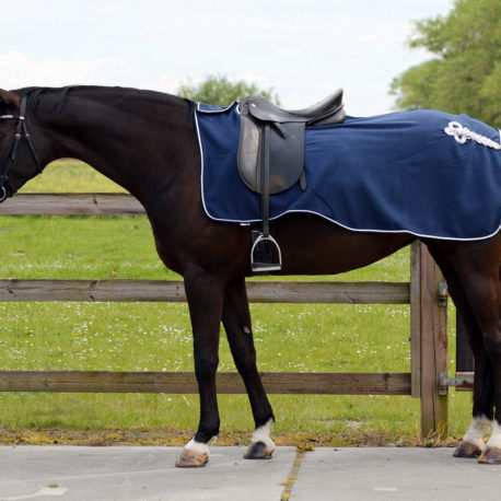 blue exercise fleece rug