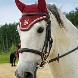 Mattes Ear Bonnet with Embroidery Patch