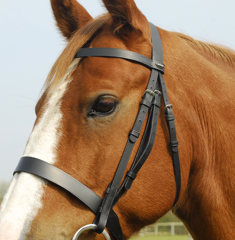 Heritage English Leather Hunter Bridle With Wide Cavesson Nose band