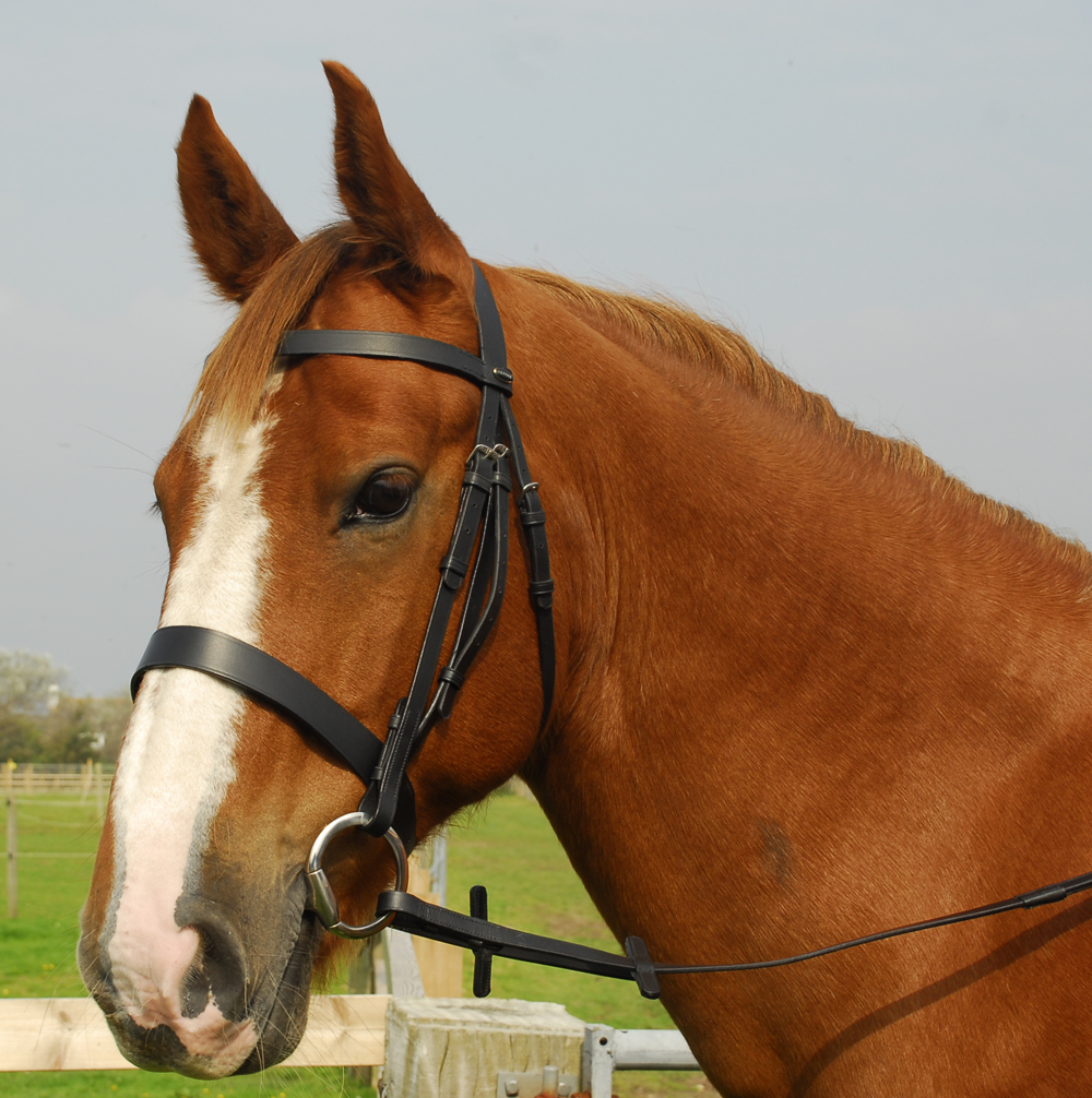Heritage English Leather Hunter Bridle With Wide Cavesson Nose band Elite Equestrian