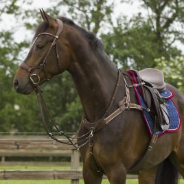 QHP Sedna Bridle