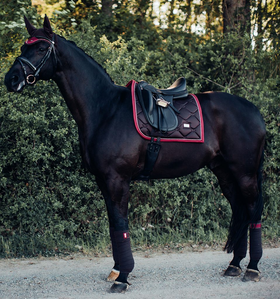 Coussin De Dressage PS Of Sweden Écarlate - Occasion - Matériel D'équitation