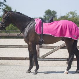 QHP Colour Exercise Fleece Rug