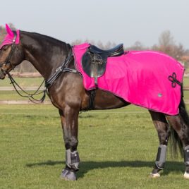 QHP Eldorado Fleece Exercise Rug