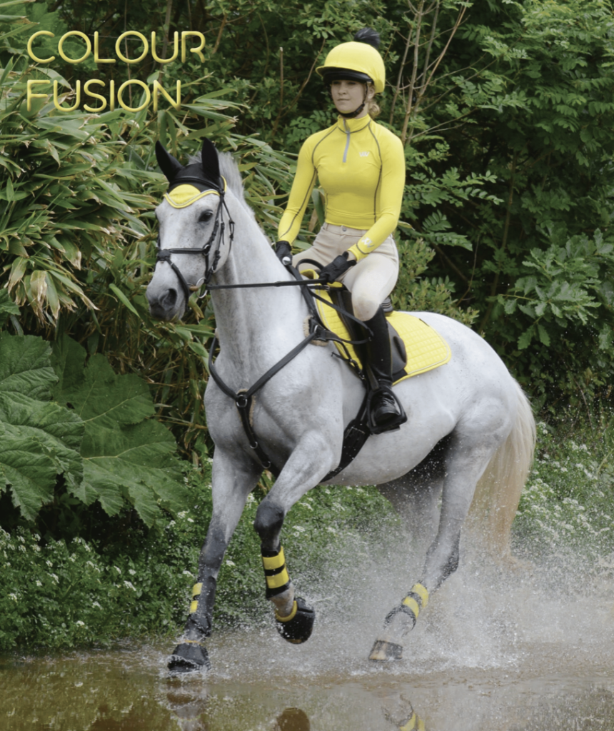 Woof Wear Ergonomic Colour Fusion Horse Healthcare Fly Veil Black Powder Blue 