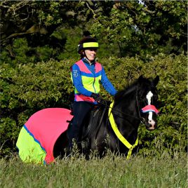 Equisafety Multi Coloured Nose Band Cover