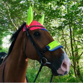 Equisafety Reflective Ear Bonnet