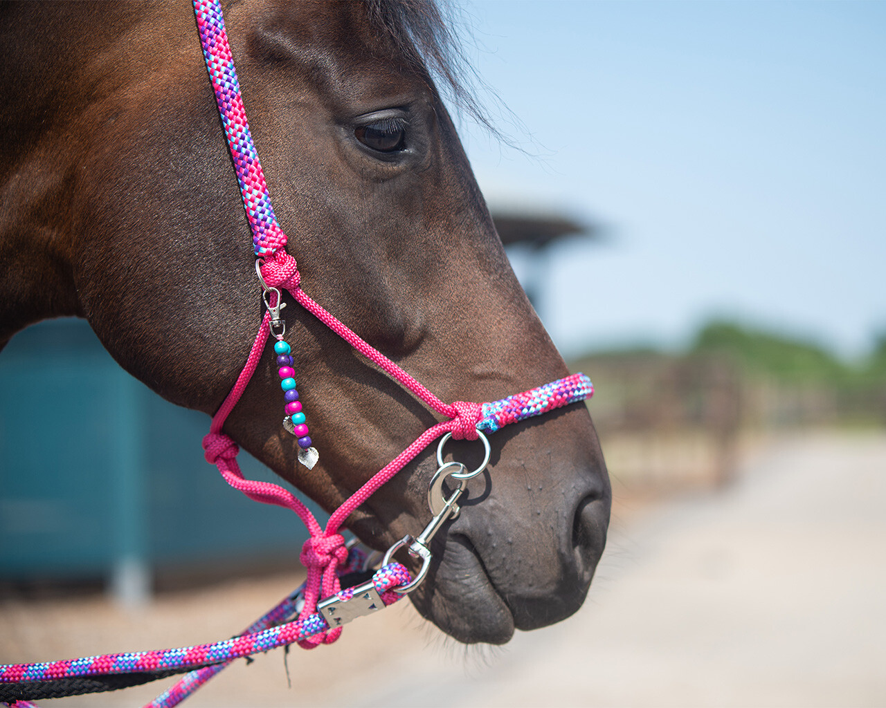 Soft Rope Liberty Bridleless Tackles Horse Riding Neck Rope with Fringe -  EverythingEQ