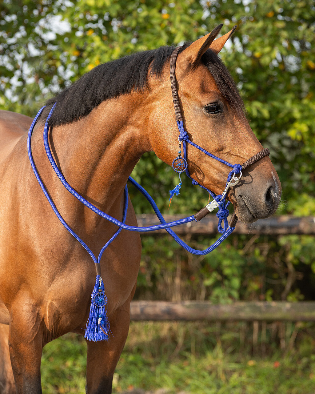 Soft Rope Liberty Bridleless Tackles Horse Riding Neck Rope with Fringe -  EverythingEQ