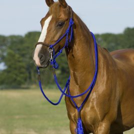 QHP Rope Liberty Head Collar with Reins