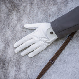 QHP Force Riding Glove