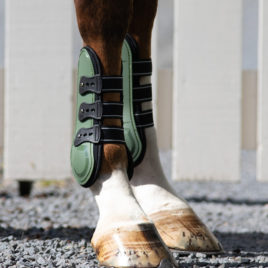 QHP Champion Tendon Boots