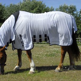 Rhinegold Sahara Full Neck Fly Rug