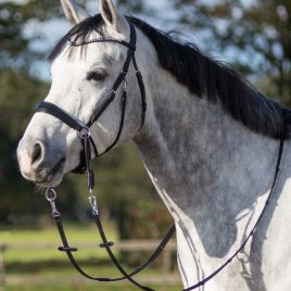 QHP Sunna Bitless Bridle