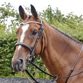 Whitaker Lynton Snaffle Bridle with 2 browbands