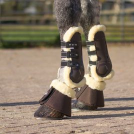 QHP Ontario Tendon Boots