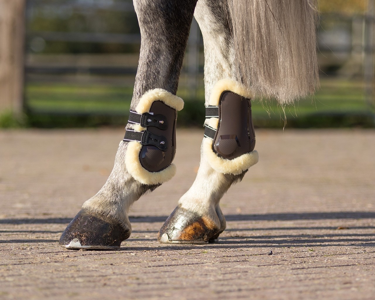 QHP Ontario Fetlock Boots Elite Equestrian