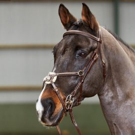 Whitaker Valencia Super Deluxe Mexican Bridle with Reins