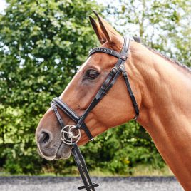 Whitaker Lynton Flash Bridle with 2 browbands