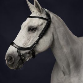 Presteq Faysport Anatomical Bridle