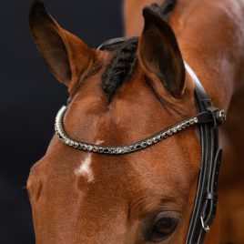 Presteq Shinebright Browband