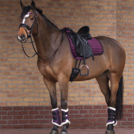 QHP Brushing Boots